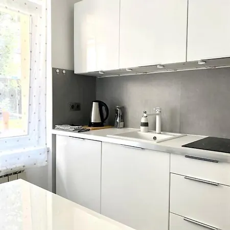 Why Not Apartament W Centrum, Ul. Gimnazjalna 12/1 דירה זקופאנה